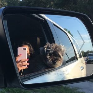 Meet your Posher, Lupe